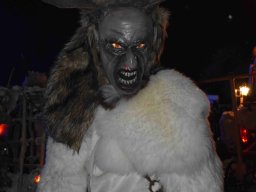 dsc_0213